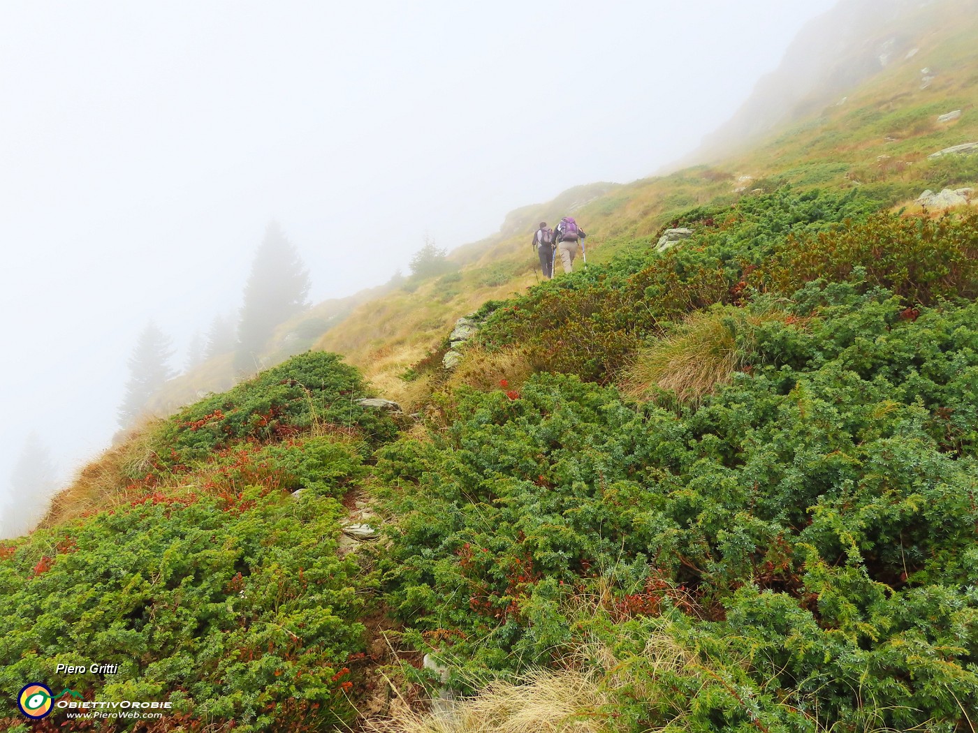 21 Verde sotto, grigio-chiaro sopra.JPG